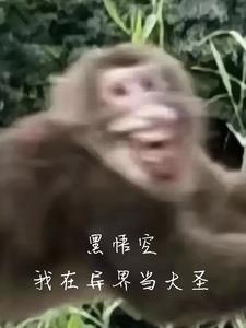 黑悟空我在异界当大圣 黑悟空我在异界当大圣